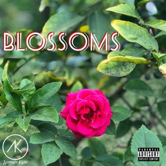 Blossoms