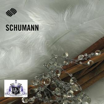 Robert Schumann: Works for Solo Piano