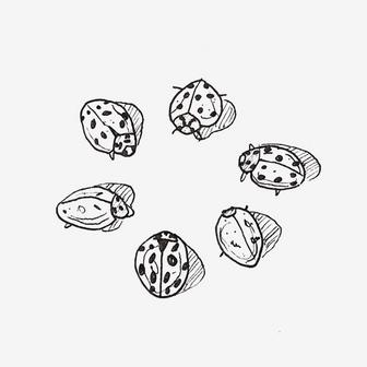 ladybugs, demo