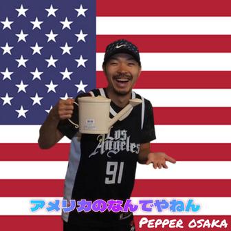 アメリカのなんでやねん