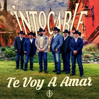 Te Voy a Amar - Single