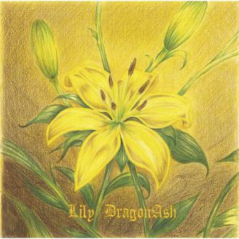 Lily