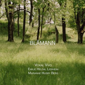 Blåmann