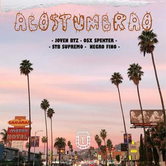 Acostumbrao (feat. Osx Spekter, Negro Fino & Joven BTZ) - Single