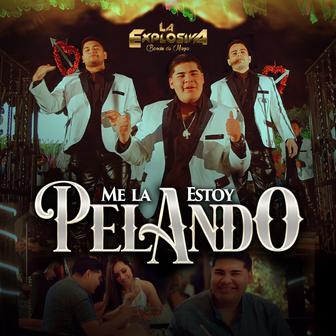 Me La Estoy Pelando - Single
