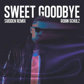 Sweet Goodbye (Svidden Remix) - Single