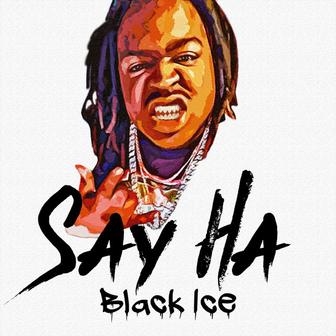 Say Ha
