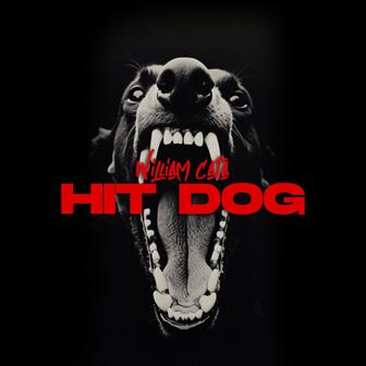 Hit Dog
