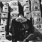 野田洋次郎