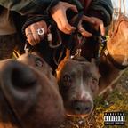 UNDER DOGGS