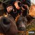 UNDER DOGGS