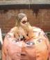 Charlotte Plank