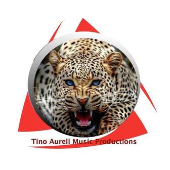 Tino Aureli
