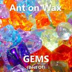 Ant on Wax