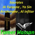 Tamer Hassan