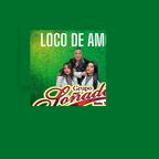 Grupo Sonador