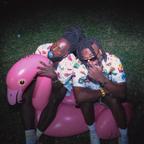Dawer X Damper
