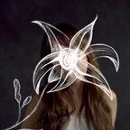 Jordyn Shellhart