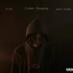 $AINT STØNE