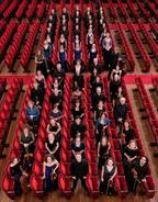 The King's Consort