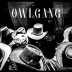 OWLGANG