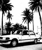 Young Saab